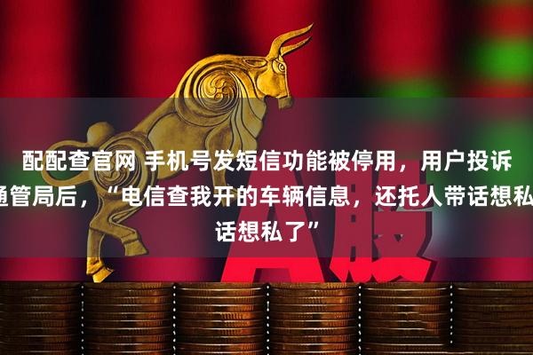 配配查官网 手机号发短信功能被停用，用户投诉到通管局后，“电信查我开的车辆信息，还托人带话想私了”